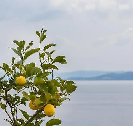 Babaja