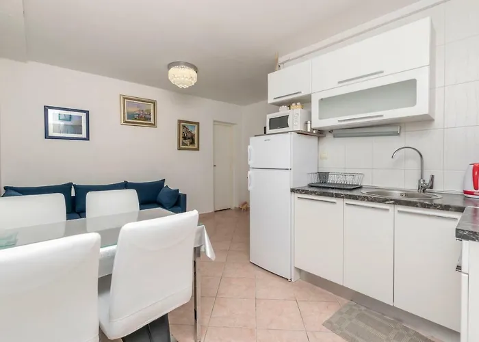 Babaja * 트로기르