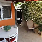 Babaja * Τρογκίρ
