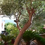 Babaja Τρογκίρ